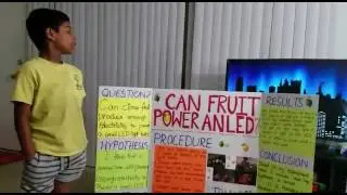 Lemon Battery - 2nd grade STEM project
