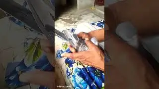 frozpuri kabouter ka shock kara