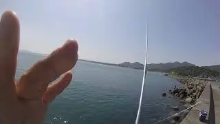 エギンガーとか死ねばいいのにと思う動画