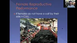 Breeding Season Management