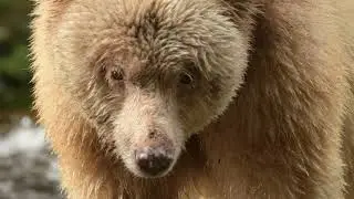 For the Love of Our Planet