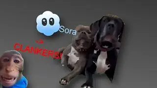 &ldquo;Funny&rdquo; AI Dog Videos Are Actually Getting Out Of Hand 