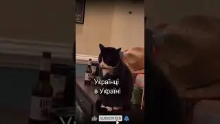 Українці у Європі і в Україні #shorts #short #youtubeshorts #shortvideo  #приколы #україна #гумор