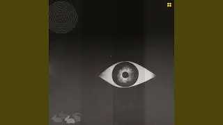 The Unseeing Eye