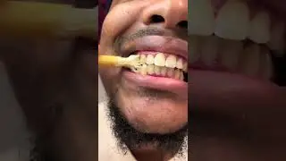 Blissany Miswak Toothbrush &ndash; Natural Wooden Toothbrush | Traditional Arabic Oral Care