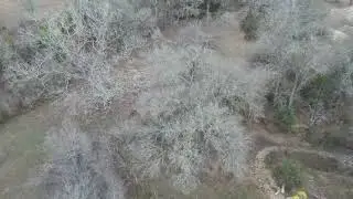 Mincher Ranch Single Track Loop
