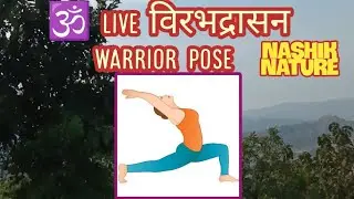live Free Yoga वीरभद्रासन #warriors #live  #warrior #yogaforbeginners #yoga #viral #yogapractice 