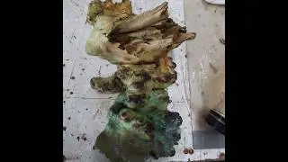 Little Green Man