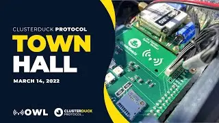 ClusterDuck Town Hall - March 14, 2022 - Security Vulnerabilities in the ClusterDuck Protocol