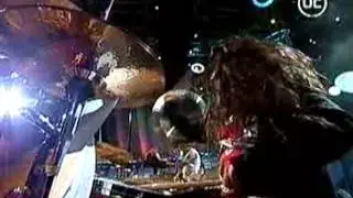 Chancho en piedra - viña 2004