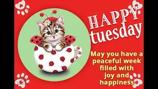 Tuesday Greetings Video - Happy Tuesday Whats-app Status