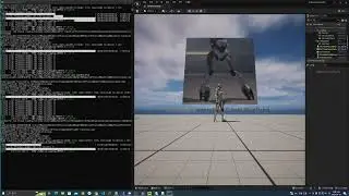 UE5 SDAPI- Rendertarget (Game Camera) To Img Node Showcase