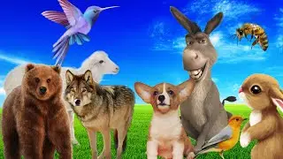 TOP 100 CUTEST Animals - animal moments - wild animal /HDR 4k video enteresting points about animals