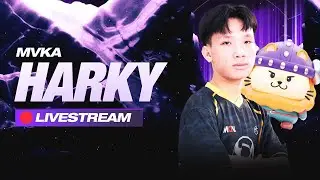 MVKA Harky Livestream | Chill game cuối ngày cùng xạ thủ Harky