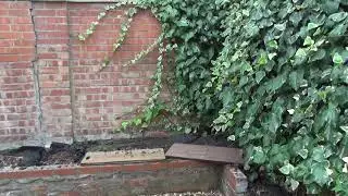 146 Hermitage Road walkthrough