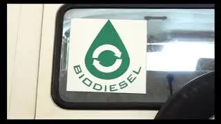 Biodiesel production from chicken slaughter waste