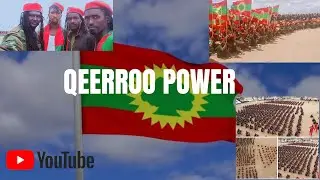 Qeerransa oromoo
