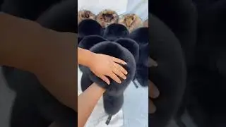 part 2 Genuine leather and black fox fur full fur hat #foxfur #hat #winter warm hat