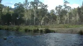 [2009] Mt Magdala - Crossing the Howqua River at Pikes Flat (in-car cam)