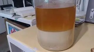 Acorn Flour- Leach Out Tannins Fastest Way in the World!