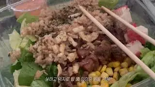 ☆ vlog ☆ 영원히 양배추만 먹다가 쓰러지게 되,, | 다이어트 식단 | 양배추, 참치, 계란, 치즈, 두부, 포케, 김낙죽 | 탄수화물 꼭 챙겨먹기… | 대학생 일상 브이로그