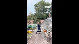 The history of walled gardens