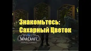 World of Warcraft. Задание - Знакомьтесь: Сахарный Цветок