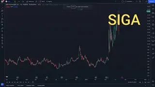 SIGA Stock Technical analysis and SIGA Stock Price Prediction News Today