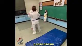 O SOTO OTOSHI