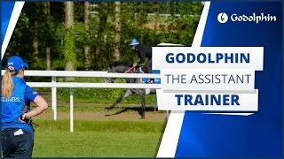 The Assistant Trainer