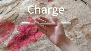 Charge. Trick training.