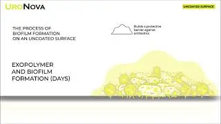 UroNova coating against biofilm formation and encrustation