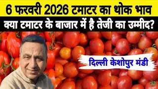 6 Feb 2026 Delhi 🍅 Tomato Wholesale Price | Keshopur Mandi | Today Tomato Rate #tamatar #tamatarm...