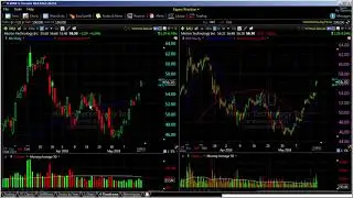 Why You Need to Cut Losses Quickly