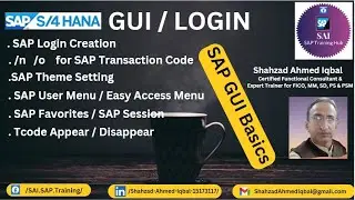SAP GUI Login | Theme Change in SAP S4 HANA| SAP User / Easy Menu| SAP S4 HANA GUI Tips & Tricks