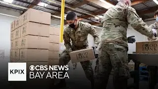 Newsom deploys CA National Guard to food banks, plus Scott Wiener running for Nancy Pelosi's seat