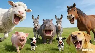 Cutest Animal Compilation 2024 | Dogs, Cats, Hedgehogs & Tiny Furry Friends