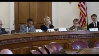 Budzinski Advocates for Continued Granite City Steel Investments at Congressional Hearing