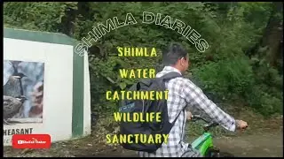 Cycling Through Shimla&rsquo;s Hidden Gem | Water Catchment wildlife sanctuary | SHIMLA DIARIES