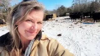 Snow Storm Round 1 : Frozen Pipes, Frozen Hay, Frozen Farm!