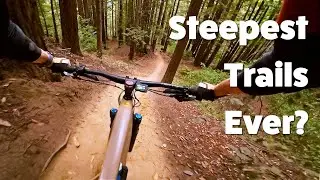 STEEP UCSC Mountain Bike Trails Pushing My Limits (San Francisco Bay Area)