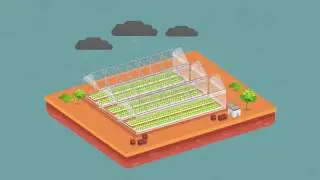 Cravo Explainer Video