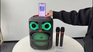 JYX Bluetooth Speaker with RGB Light for Party, Portable Speaker with 2 Wireless Microphone, T28-T