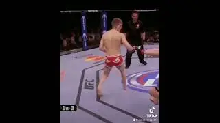 Stephen Thompson KO vs Robert Whittaker