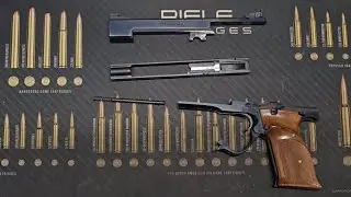 How to field strip a Smith and Wesson model 41