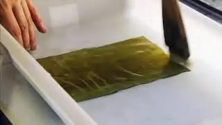 Proceso de creación “De incisión a luz”  Serie de Grabados de nueva creación de Maria Pujol