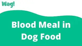 Blood Meal in Dog Food | Wag!