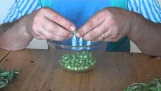 The Art of Shelling Peas