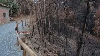 Un incendio ha colpito Nido di Seta | vlog