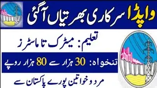 WAPDA Jobs 2022 / New Government Jobs 2022 / WAPDA Jobs / Jobs Information